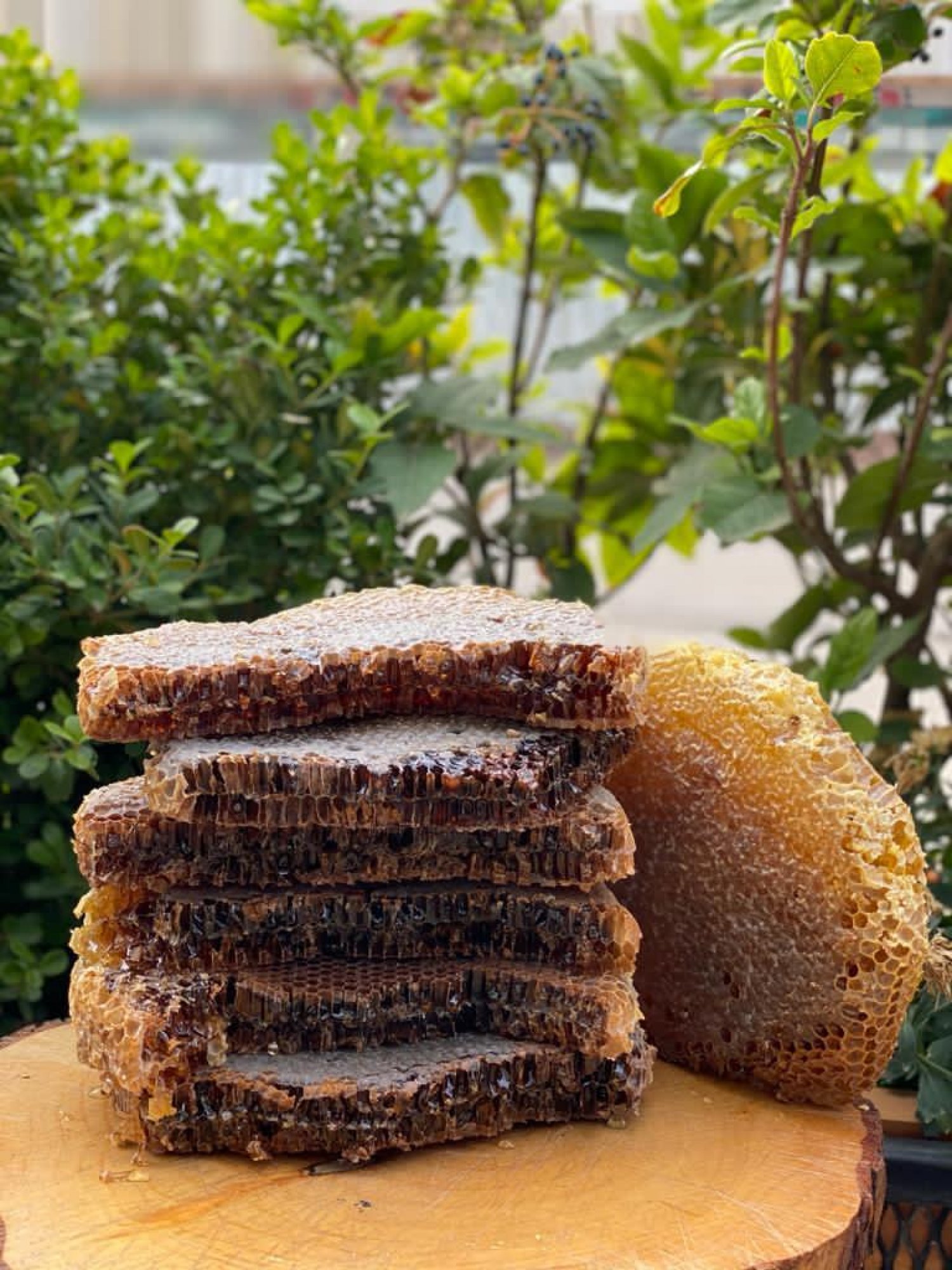 Karakovan Honeycomb Honey 5I9O